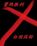 主攻推文（主角控）